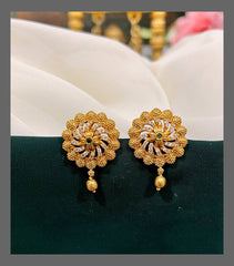 Antique Stud Earring in Nakshi - NE00269
