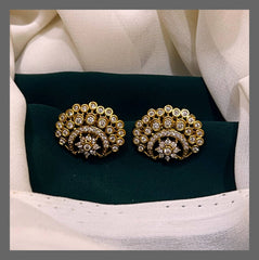 Beautiful Stone Stud In Nakshi - NE00451