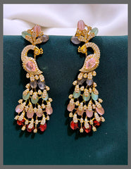 Beautiful Peocock Earning In Victorian- VE00115