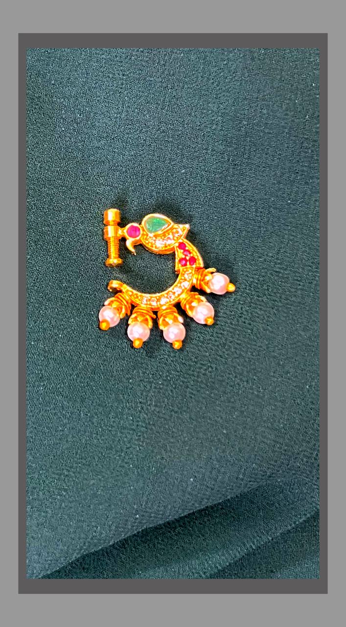 Beautiful Parrot Nose Ring - NR0051