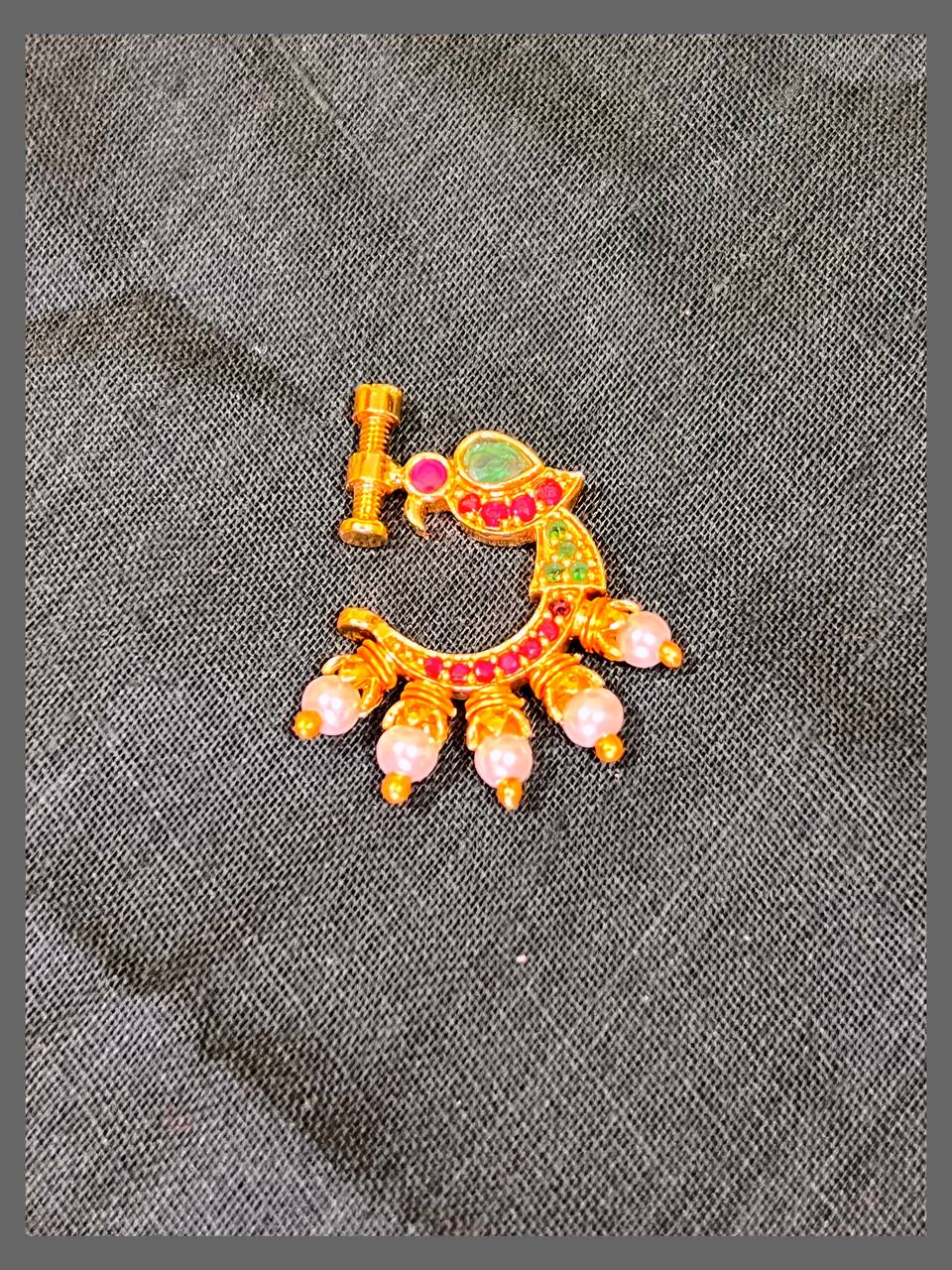 Beautiful Parrot Nose Ring - NR0051